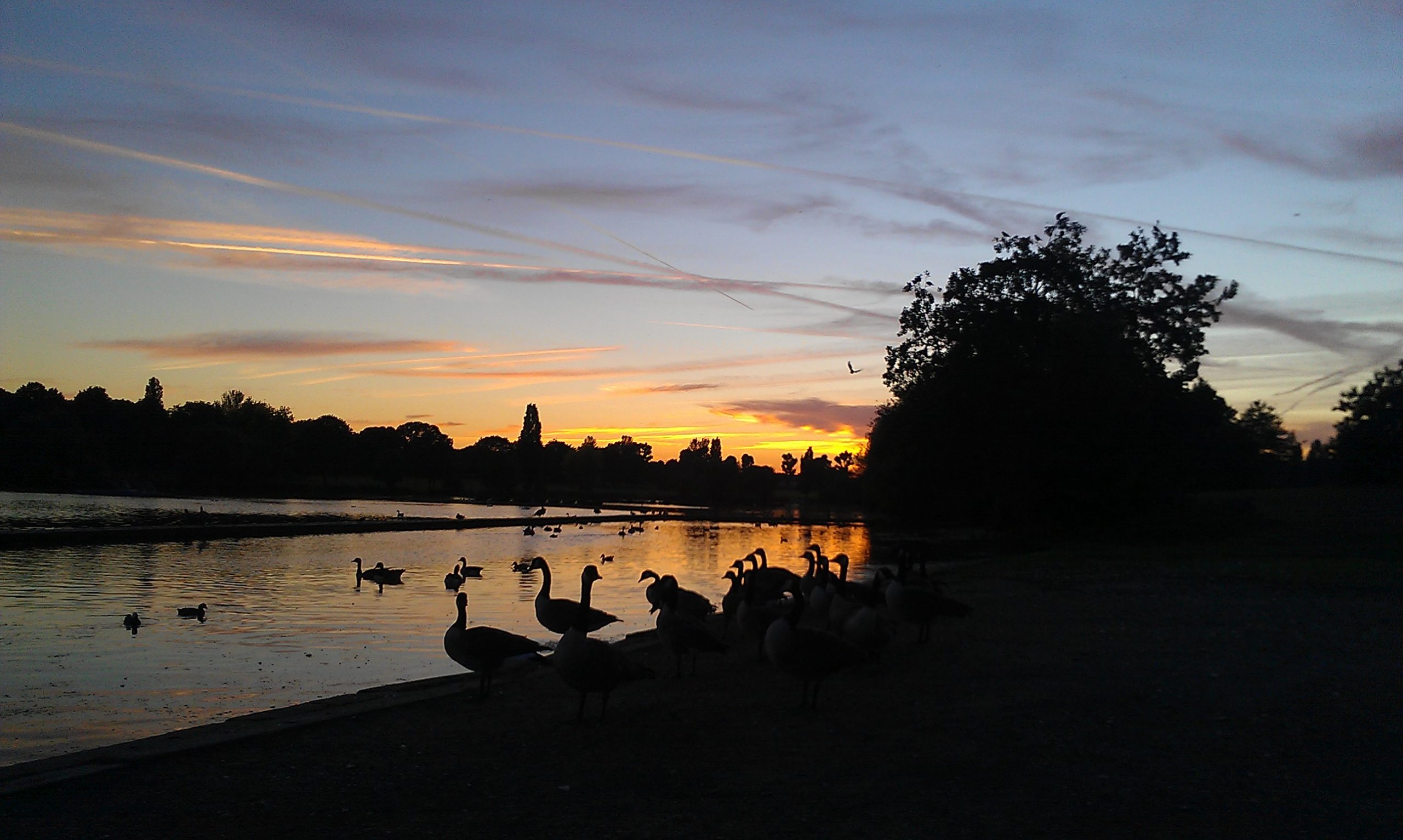 Danson Park lake, Bexleyheath DA6 area covered by Locksmith South London