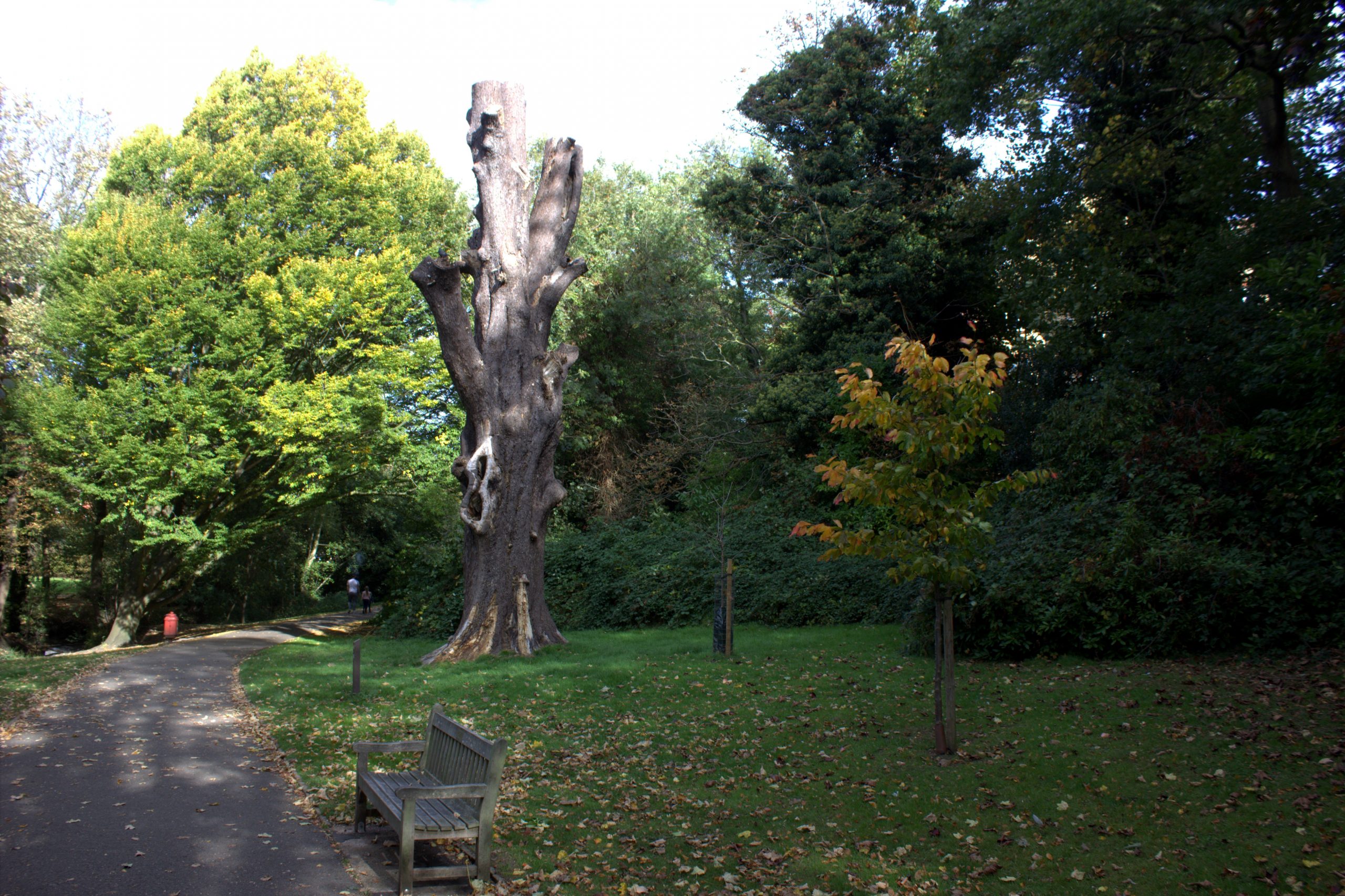 Kelsey Park Beckenham served by Locksmith South London