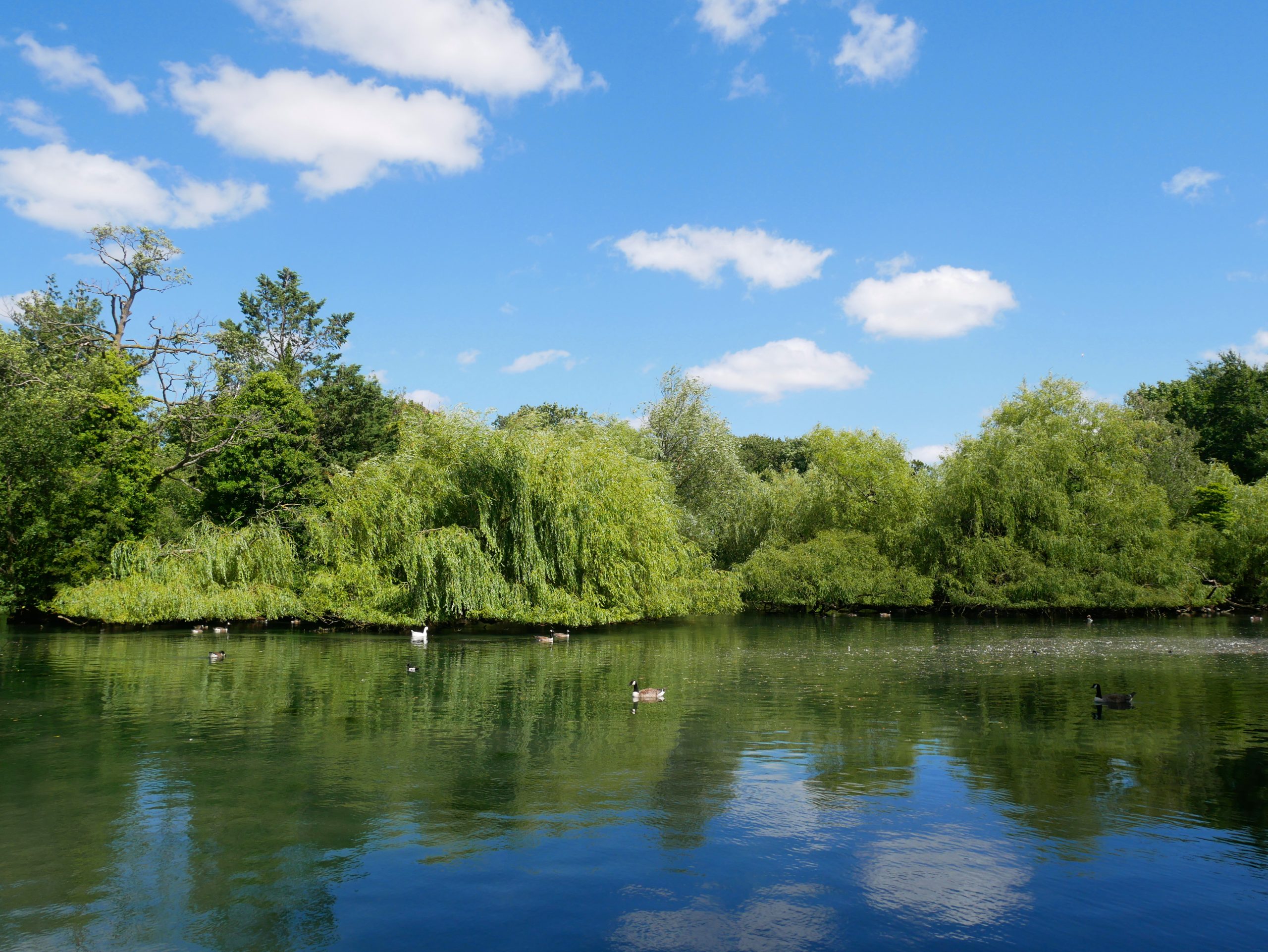 Lakes in Priory Gardens, Orpington BR6 green space - Locksmith South London