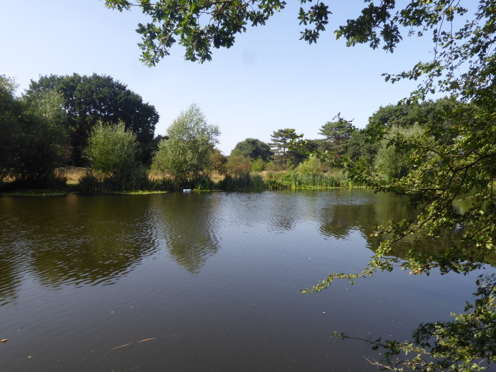 Lamorbey Park Sidcup DA15 served by Locksmith South London